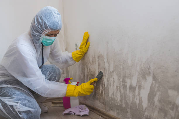 Best Commercial Mold Removal  in La Crosse, KS