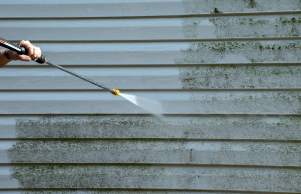 Best Mold Removal Company Near Me  in La Crosse, KS