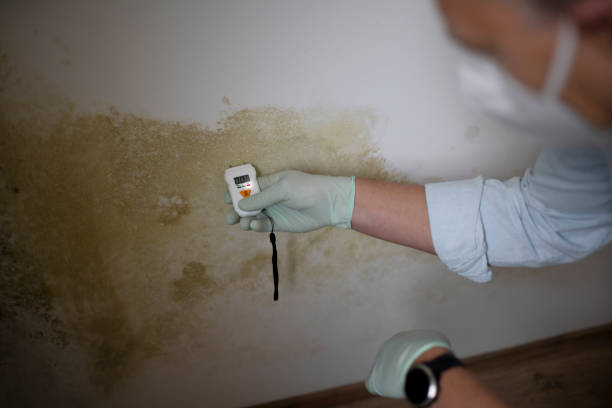 Crawl Space Mold Removal in La Crosse, KS