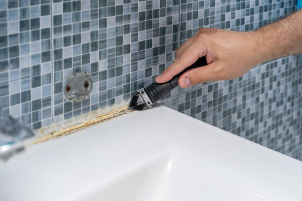 Best Affordable Mold Removal  in La Crosse, KS