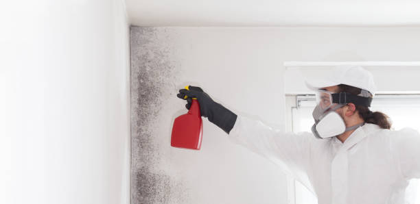Best Mold Testing  in La Crosse, KS