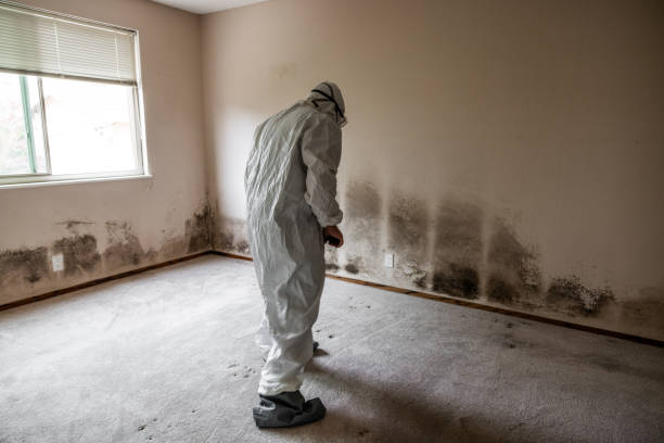 Best Professional Mold Removal  in La Crosse, KS